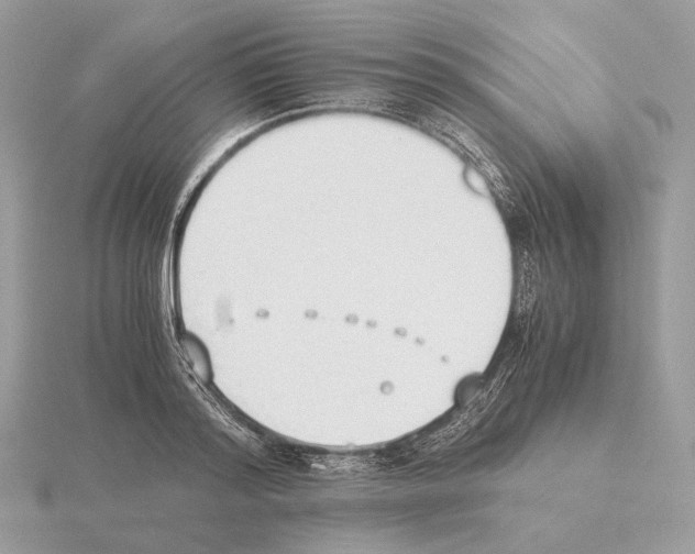 X0000115300796200912141116