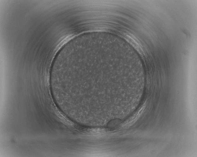 X0000115300797200912141115