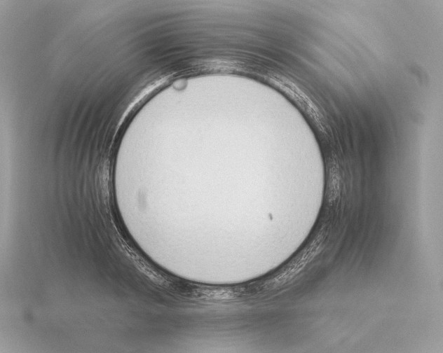 X0000115300798200912141115