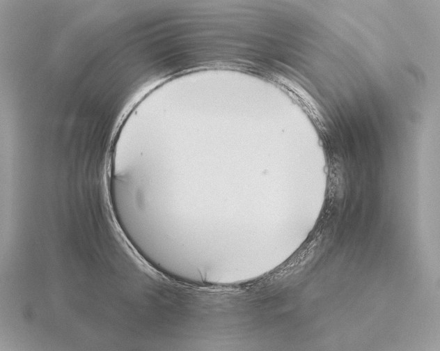 X0000115300804200912141115