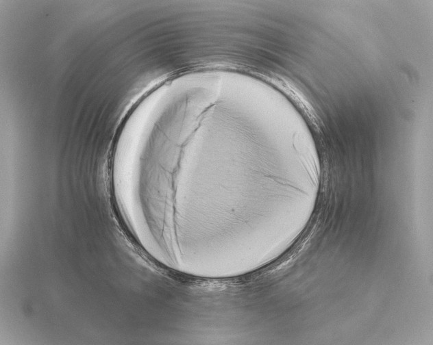 X0000115300806200912141115