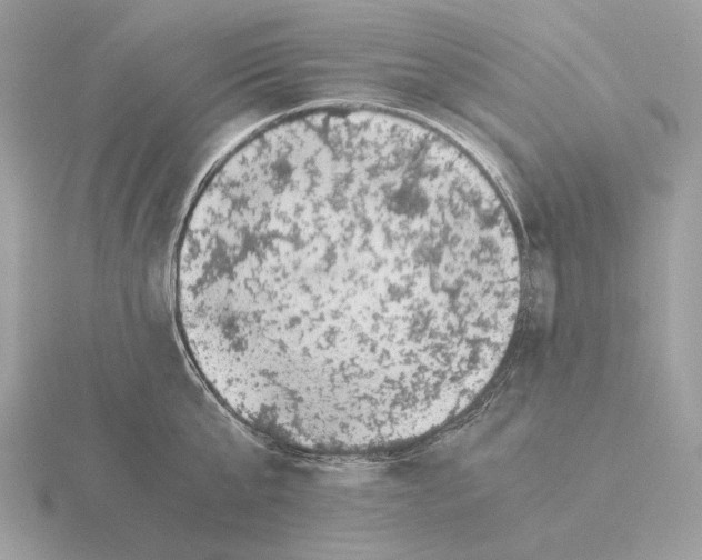 X0000115300807200912141115