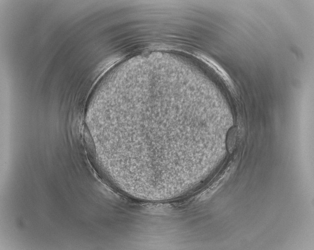 X0000115300809200912141115