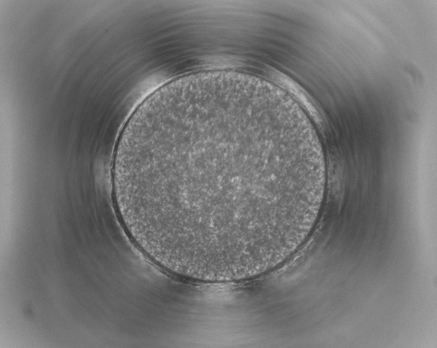 X0000115300810200912141115