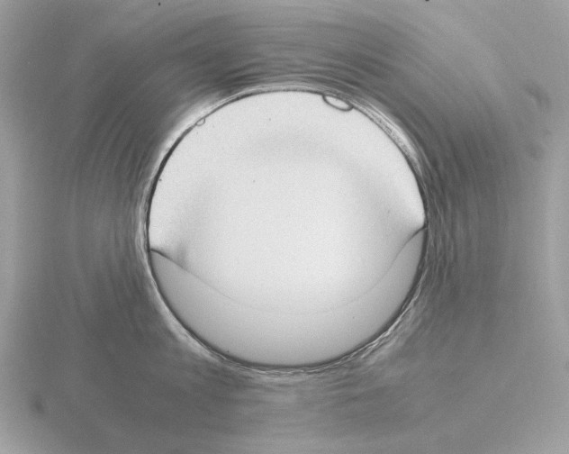 X0000115300813200912141115