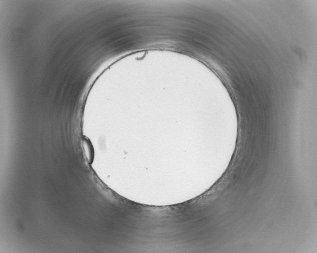 X0000115300816200912141115