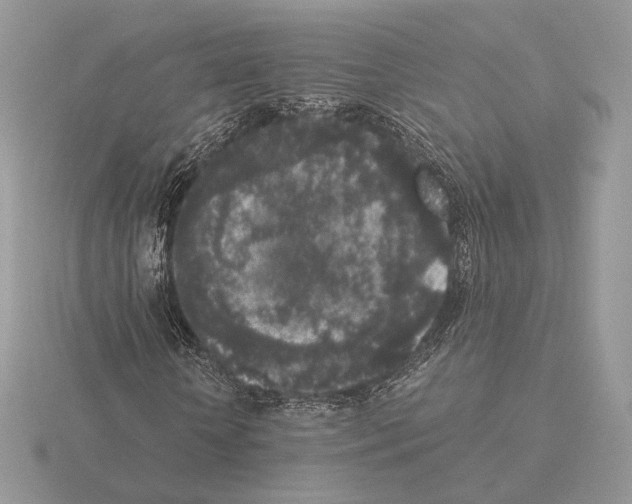 X0000115300818200912141115