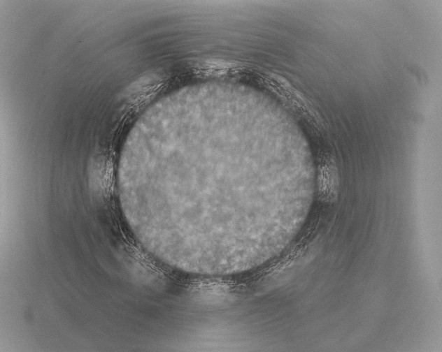 X0000115300820200912141115