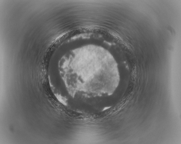 X0000115300822200912141115