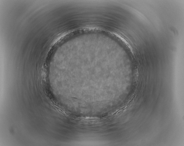 X0000115300823200912141115