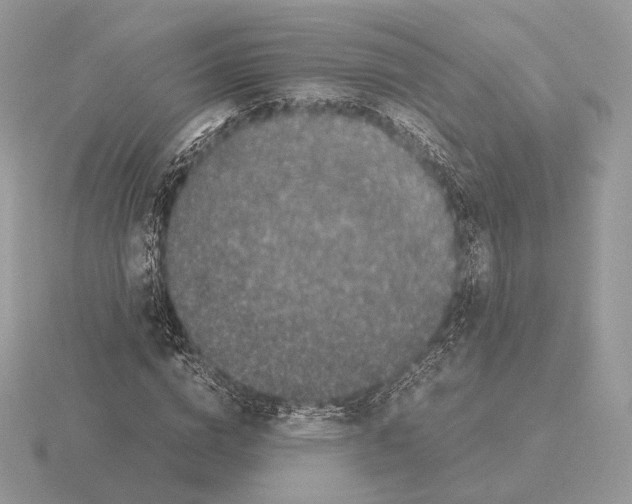 X0000115300824200912141115