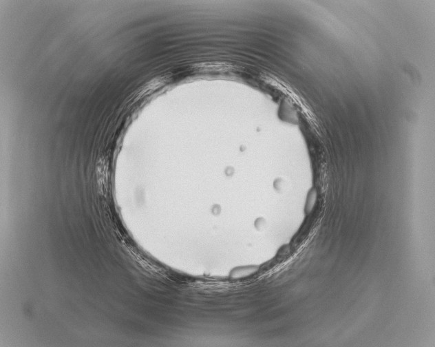 X0000115300825200912141115