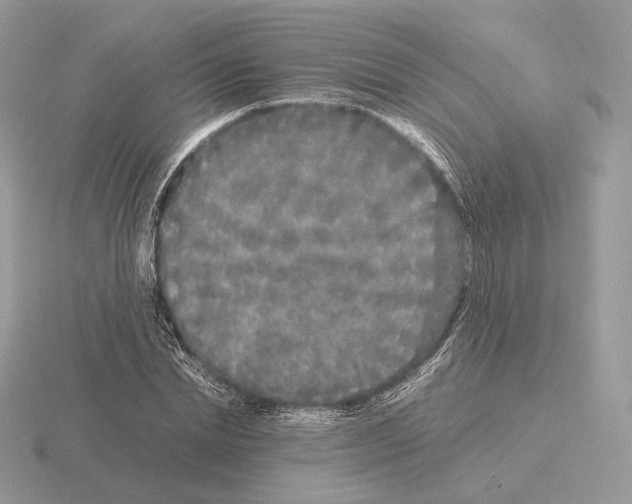 X0000115300830200912141115