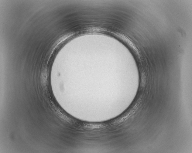 X0000115300831200912141115