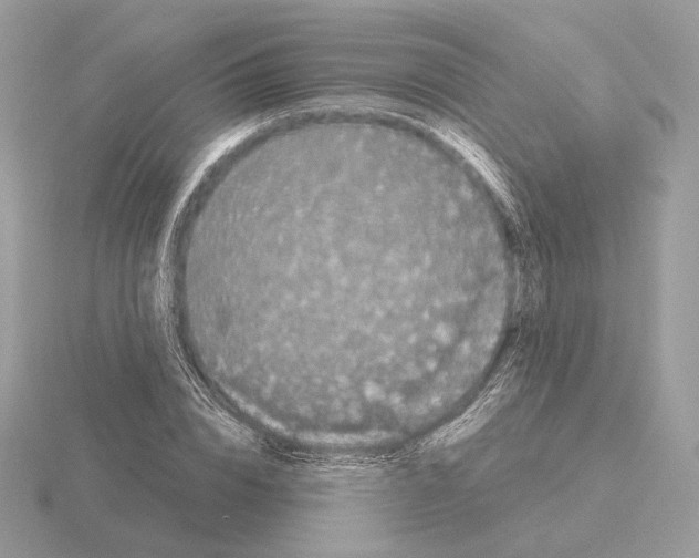 X0000115300832200912141115