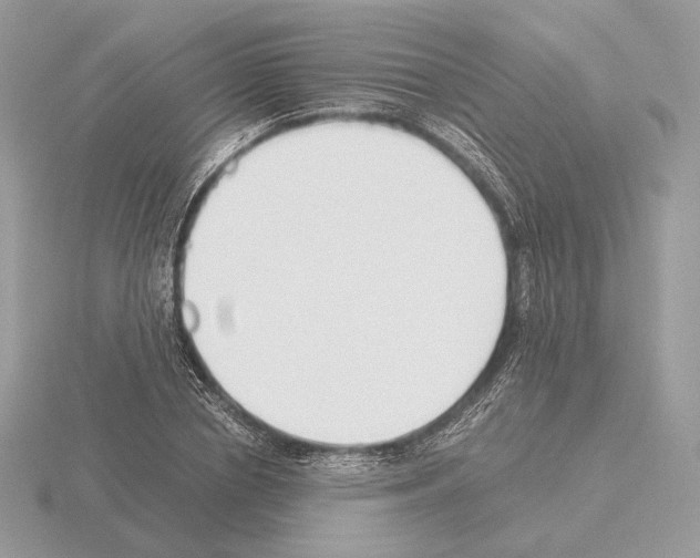 X0000115300834200912141115