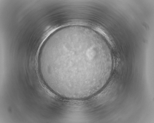 X0000115300836200912141115