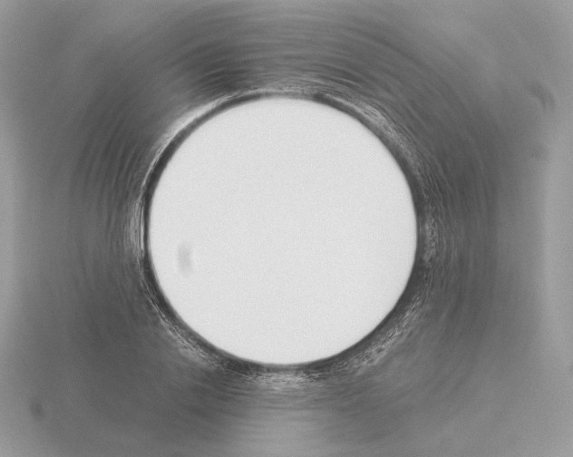 X0000115300838200912141115