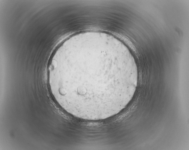 X0000115300839200912141115