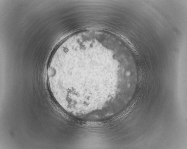 X0000115300840200912141115