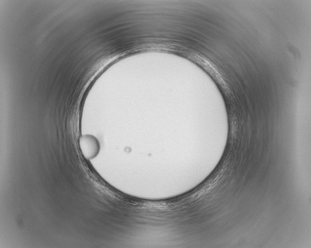 X0000115300844200912141115