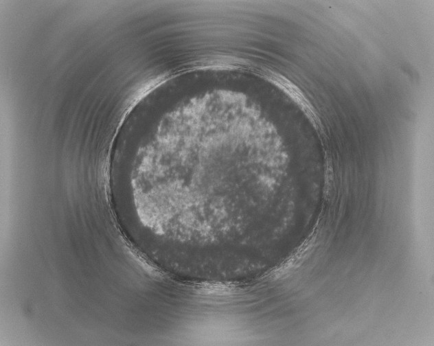 X0000115300850200912141115