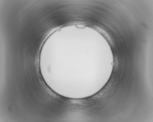 X0000115300852200912141115