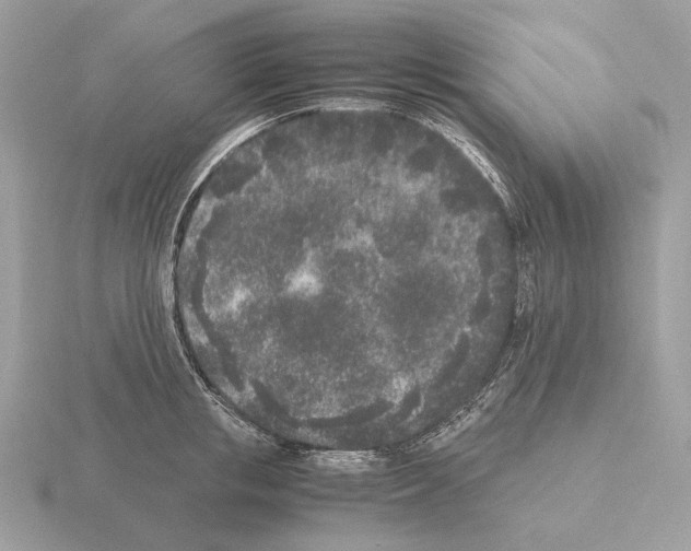 X0000115300853200912141115