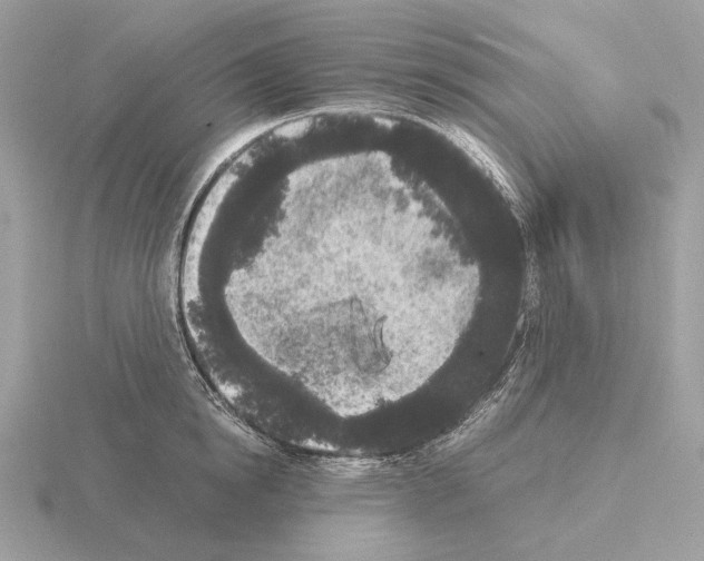 X0000115300854200912141115