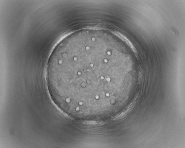 X0000115300855200912141115