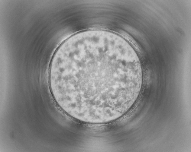 X0000115300856200912141115