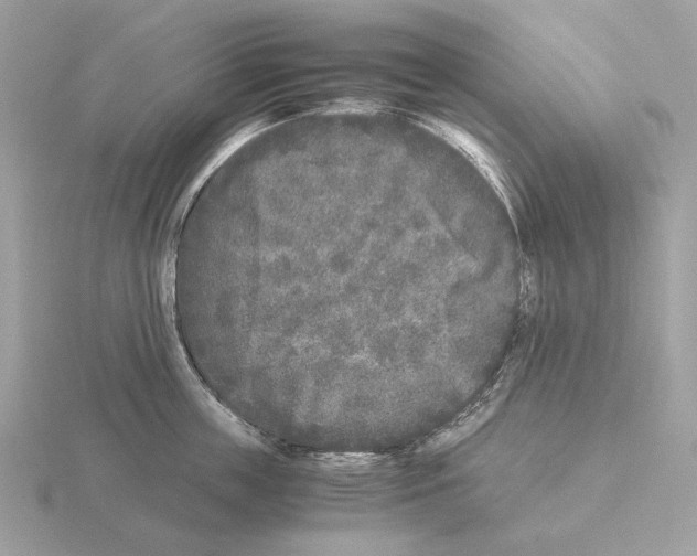 X0000115300859200912141115