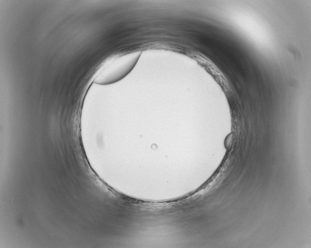 X0000115300860200912141115