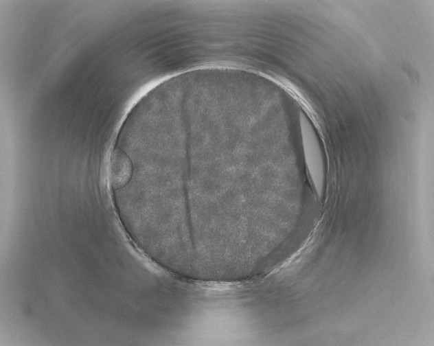 X0000115300862200912141115