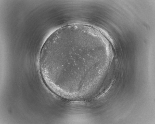 X0000115300863200912141115