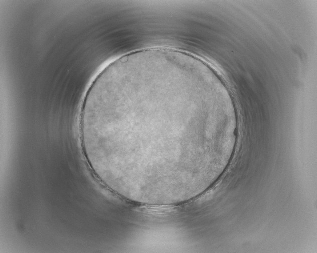 X0000115300864200912141115