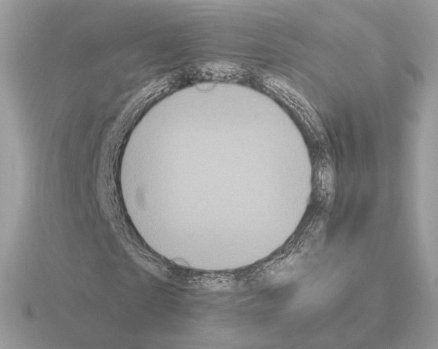 X0000115300865200912141114