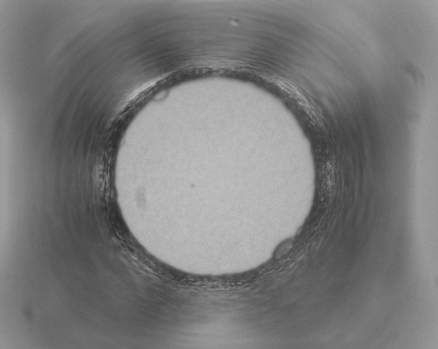 X0000115300872200912141114