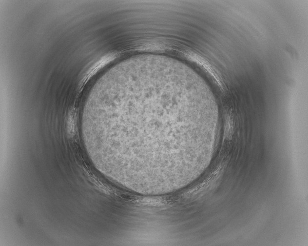 X0000115300874200912141114