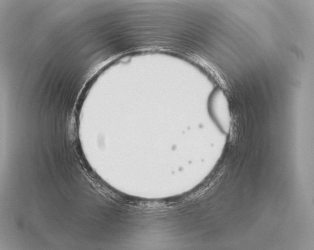 X0000115300876200912141114