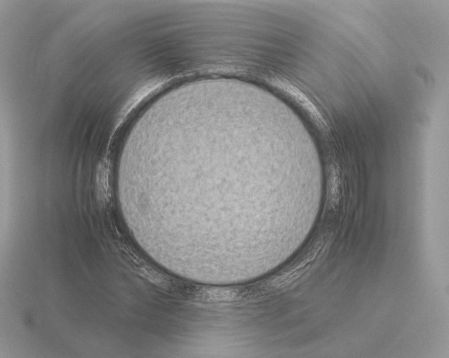 X0000115300878200912141114