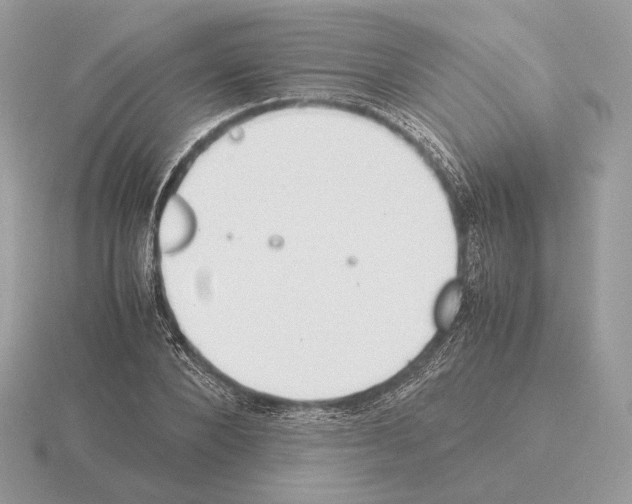 X0000115300880200912141114