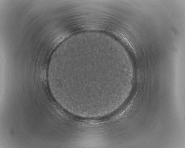 X0000115300881200912141114