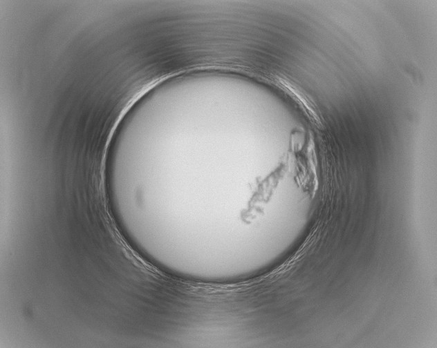 X0000115300884200912141114