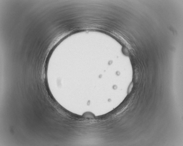 X0000115300885200912141114