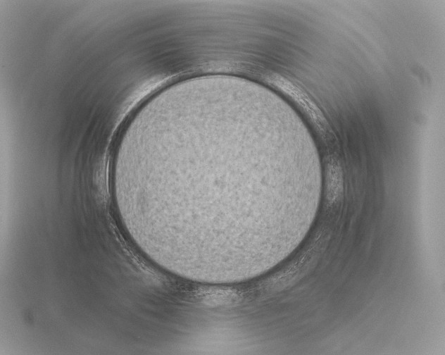 X0000115300886200912141114