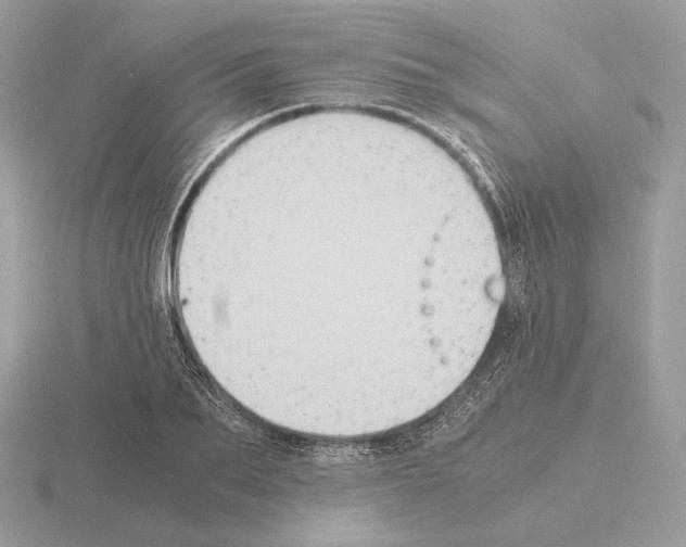 X0000115300887200912141114