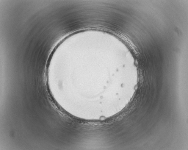 X0000115300888200912141114