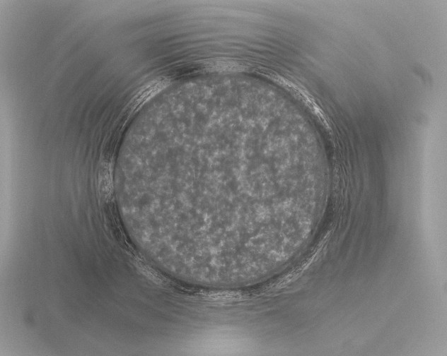 X0000115300889200912141114