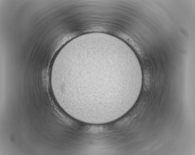 X0000115300890200912141114